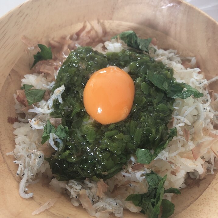 簡単しらす丼